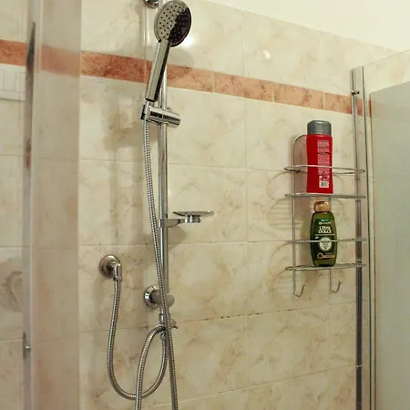 Fieramosca 2 Da Letto 2 Bagni Cucina E Salottino Daire Torino